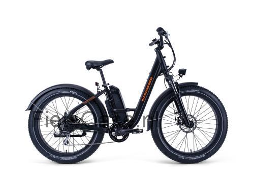 Rad Power Bikes RadRover Step-Thru 1 specificaties